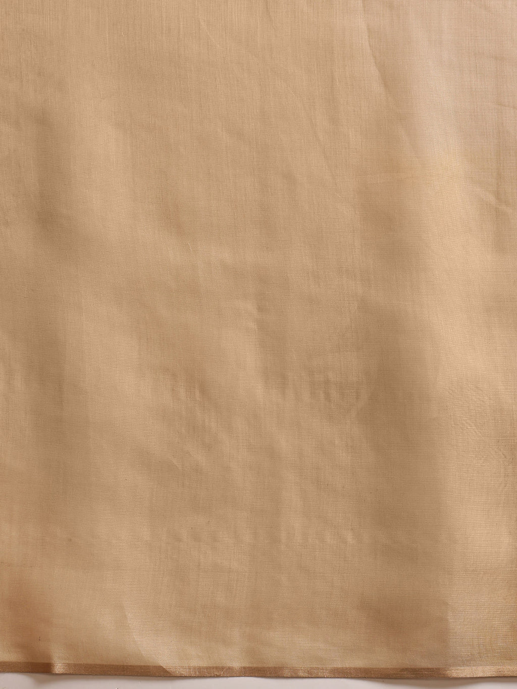 Beige Cotton Tissue Saree with Floral Digital Prints