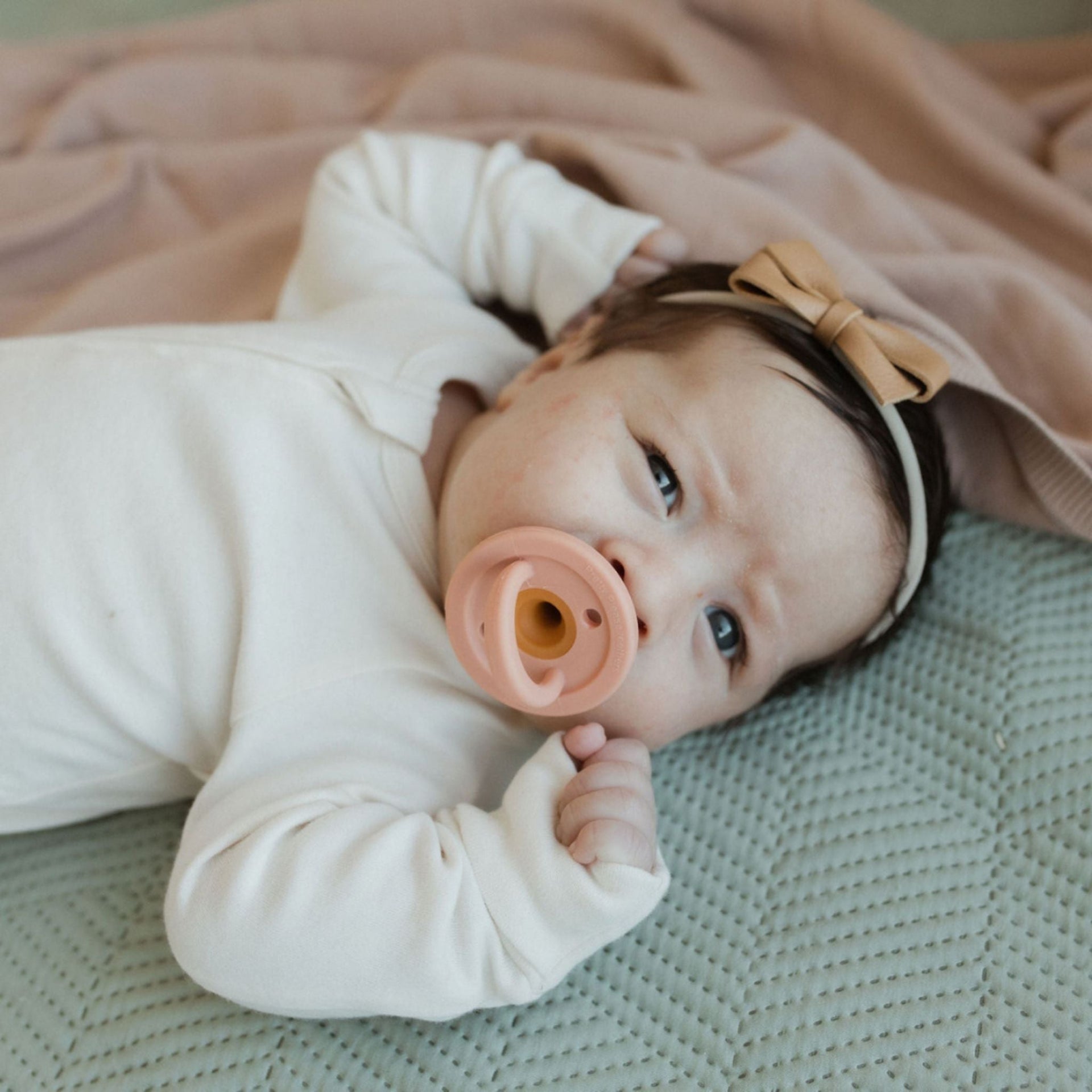 Modern Pacifier |  Mahogany Rose