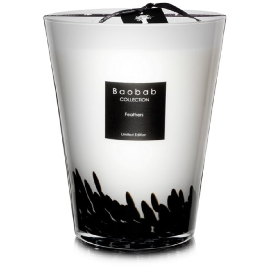 Baobab Collection Feathers Max 24 candle in a hand-blown glass vessel with black feather inlay.