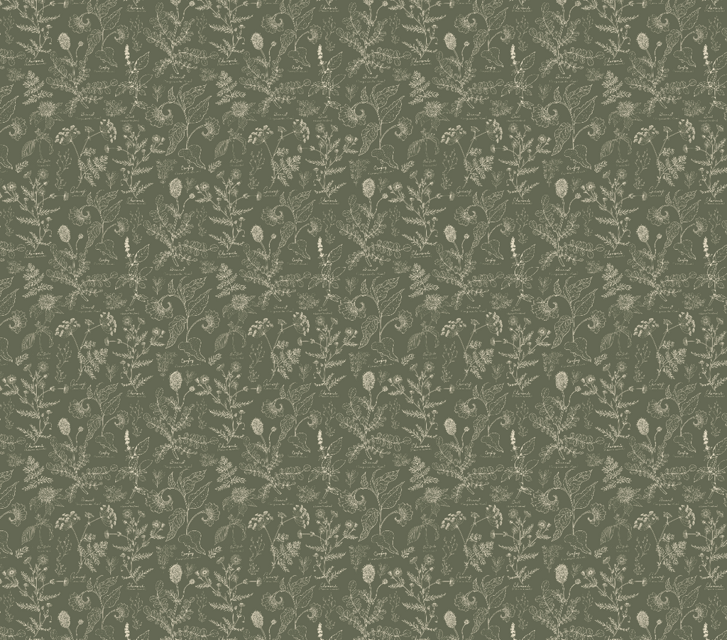 Caraway Floral Wallpaper in Green, White and Terracotta
