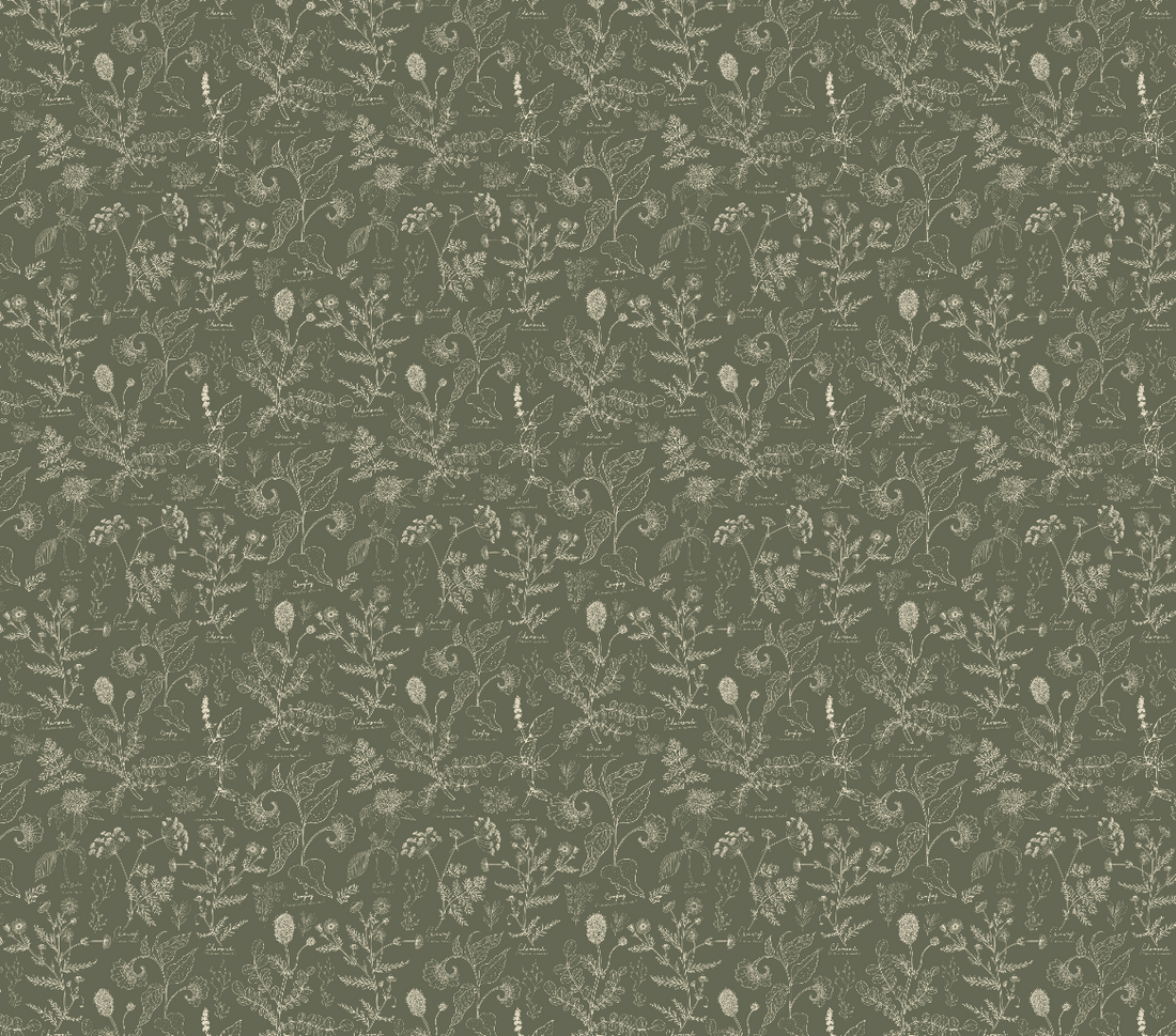 Caraway Floral Wallpaper in Green, White and Terracotta