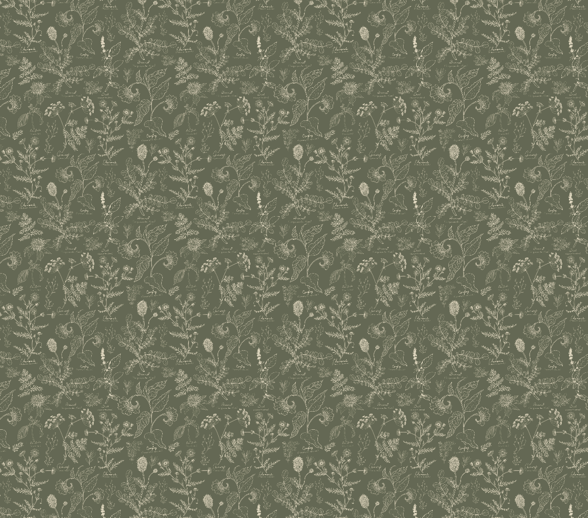 Caraway Floral Wallpaper in Green, White and Terracotta
