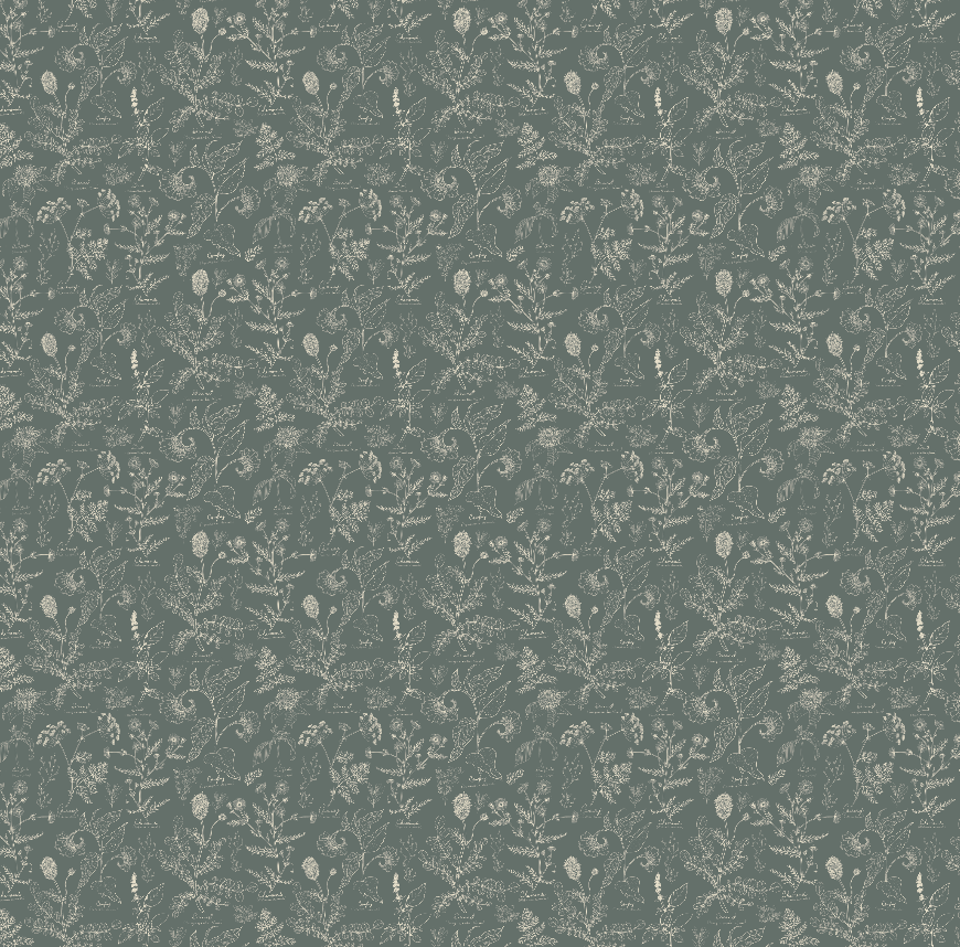 Caraway Floral Wallpaper in Green, White and Terracotta