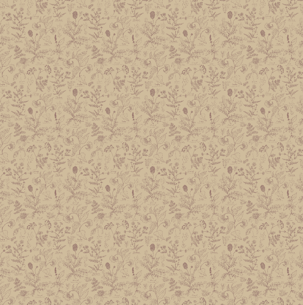 Caraway Floral Wallpaper in Green, White and Terracotta