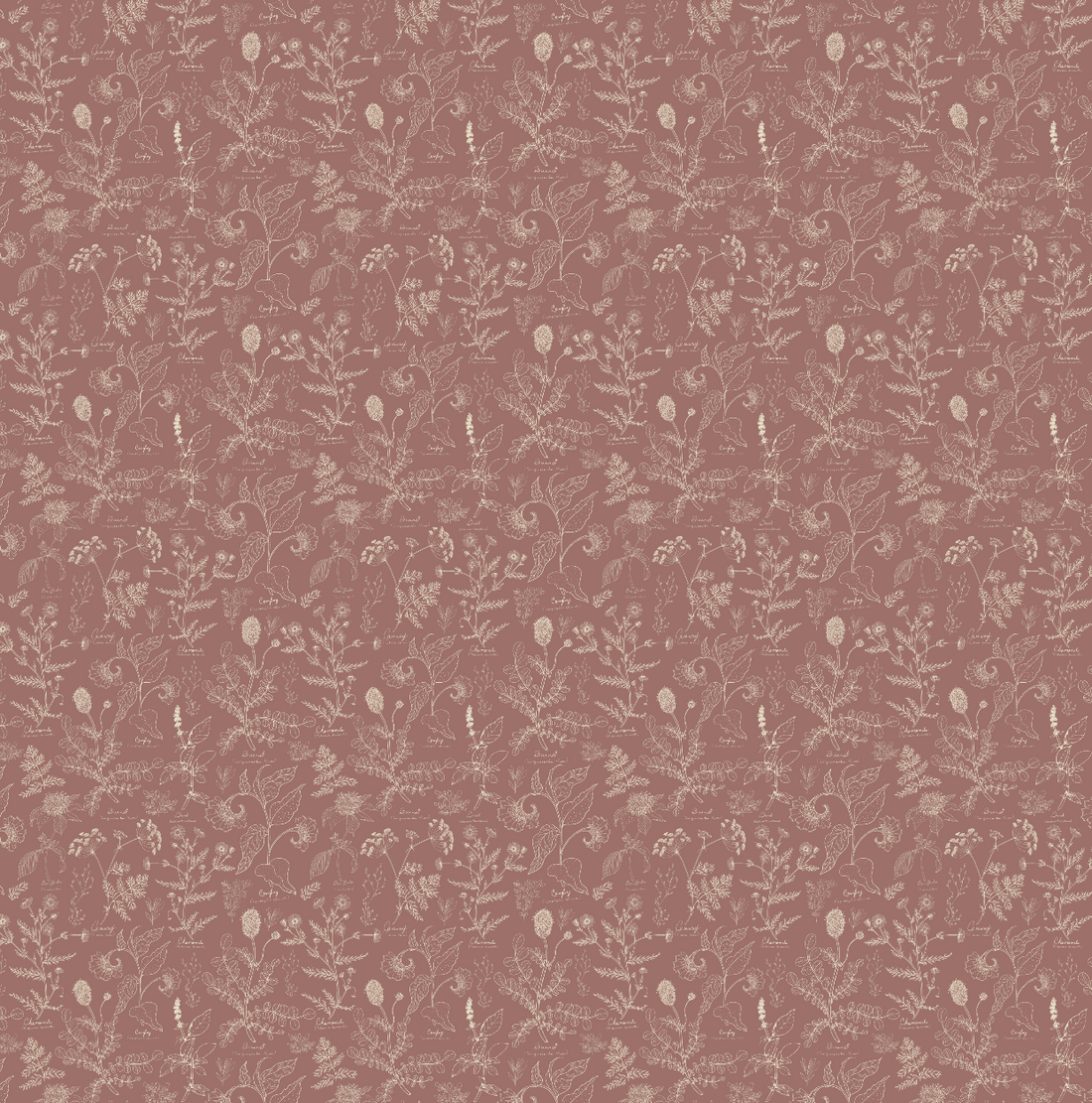 Caraway Floral Wallpaper in Green, White and Terracotta
