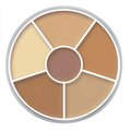 Professional 6-color concealer circle palette in shades of nude, beige, and brown