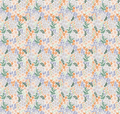 Cici Floral Removable Wallpaper in White Orange Lavender Green