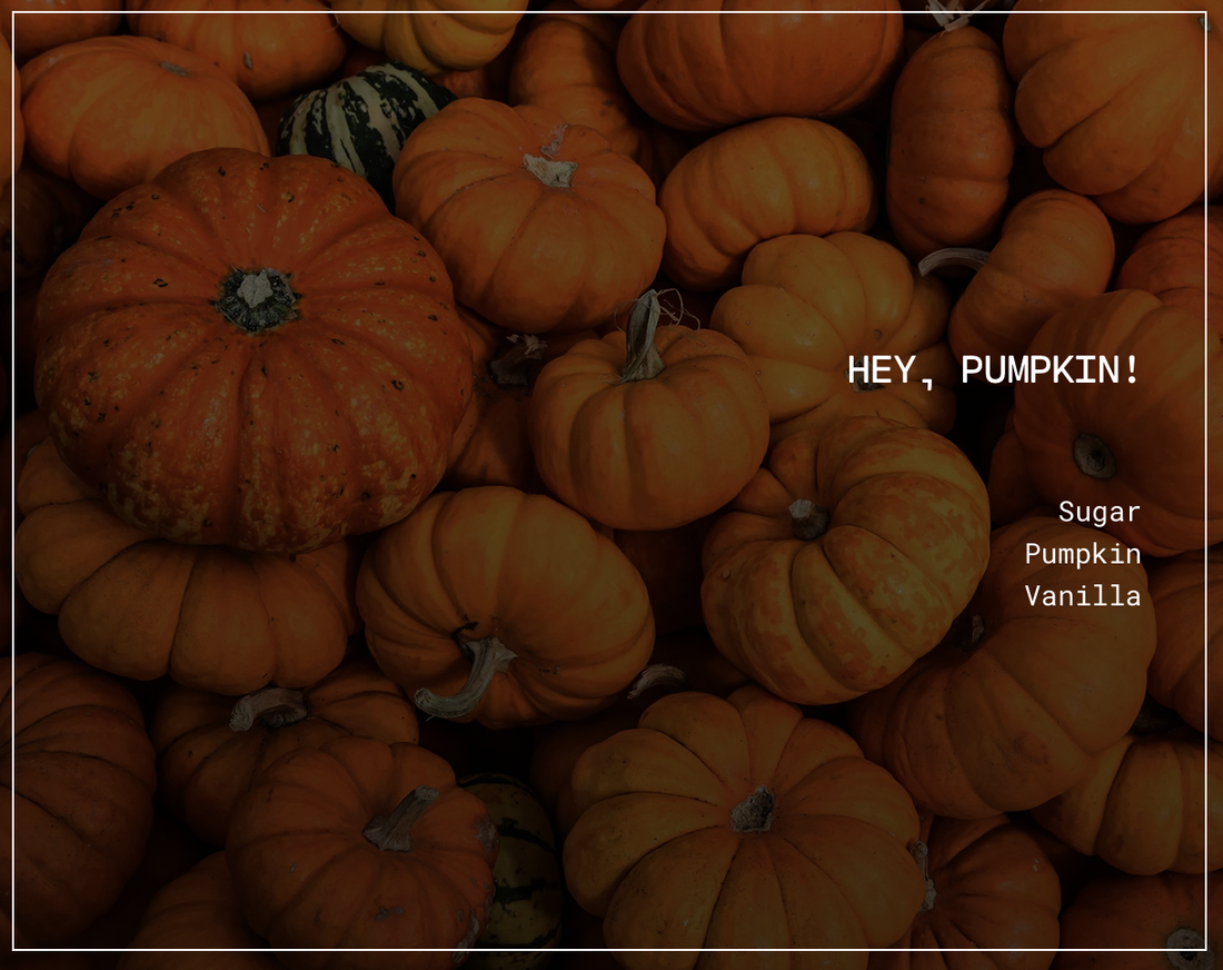 HEY, PUMPKIN! SOY CANDLE - 16 oz Butter Jar