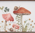 Mushroom Study Bin