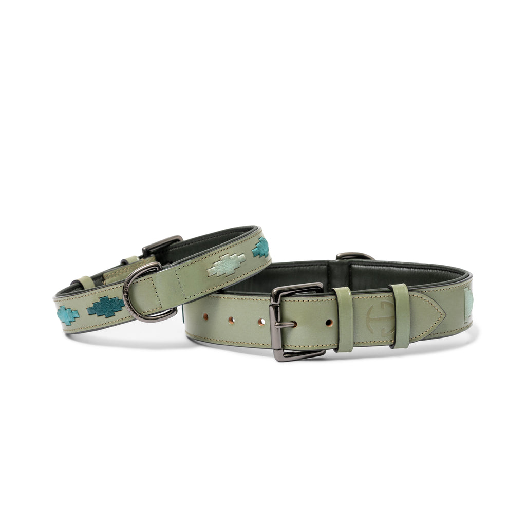Sea Glass Leather Dog Collar