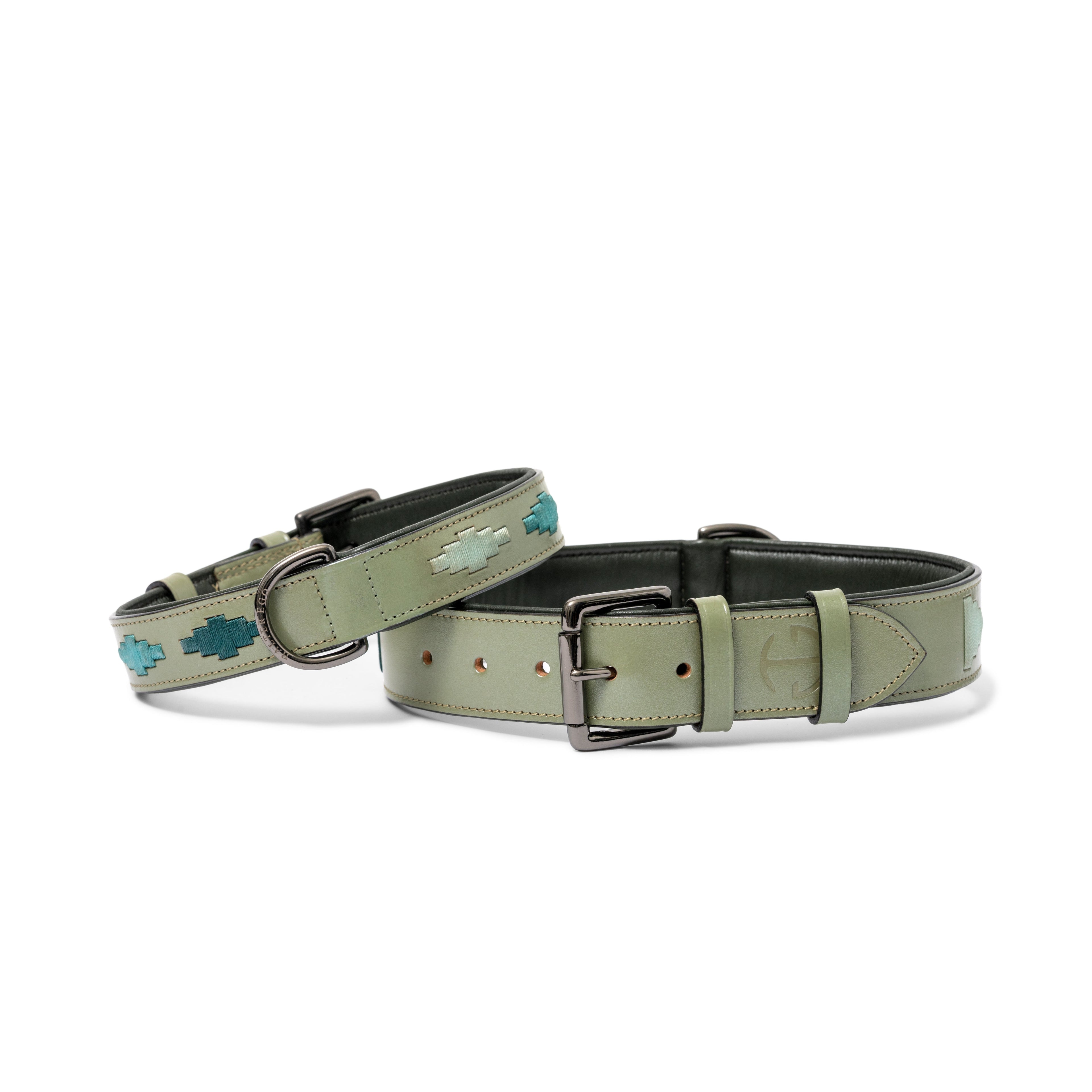 Sea Glass Leather Dog Collar