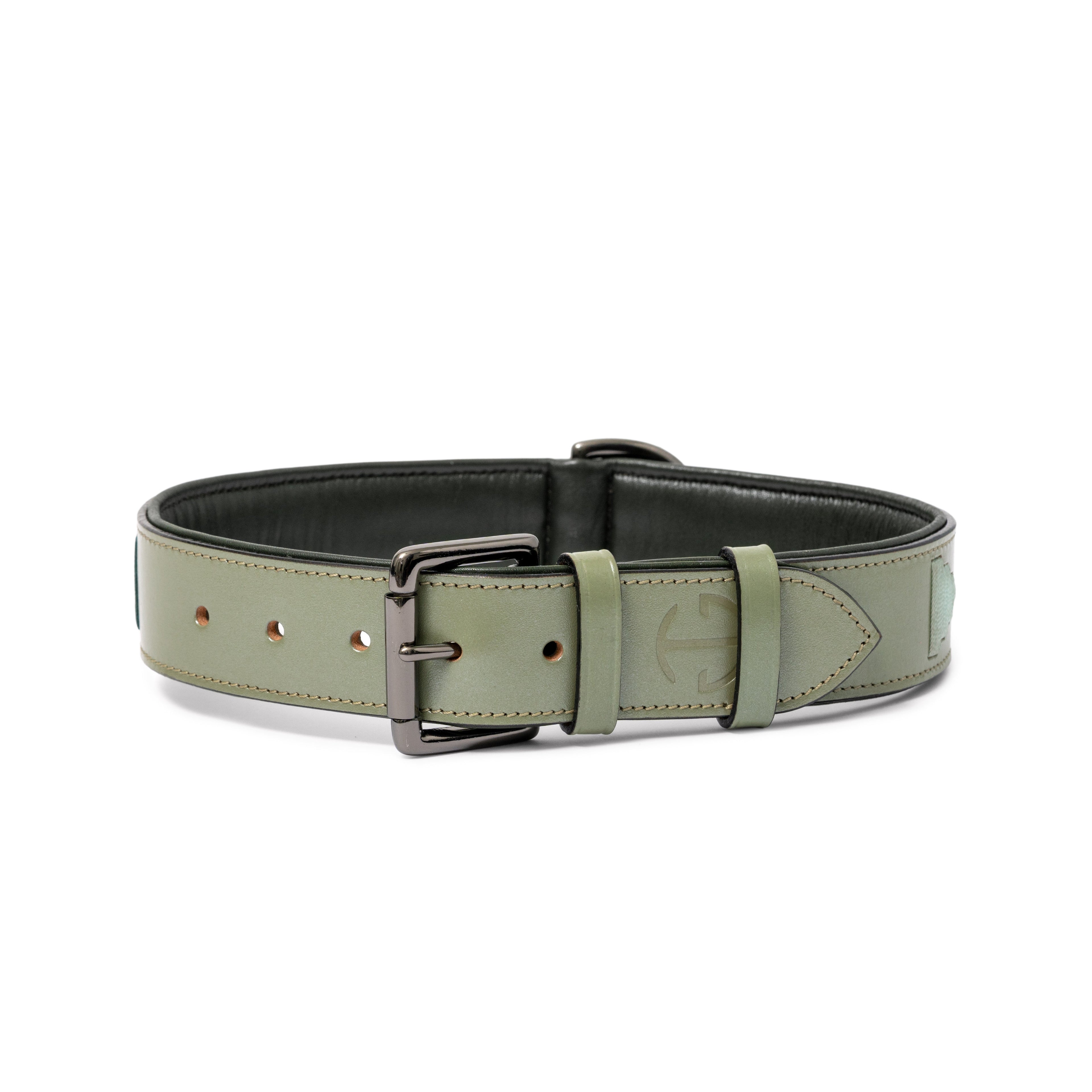 Sea Glass Leather Dog Collar