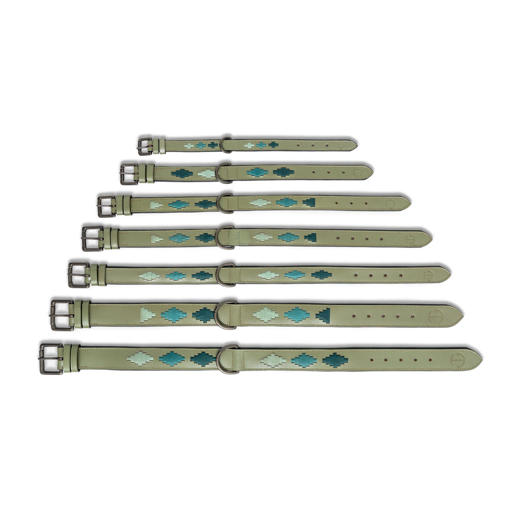 Sea Glass Leather Dog Collar