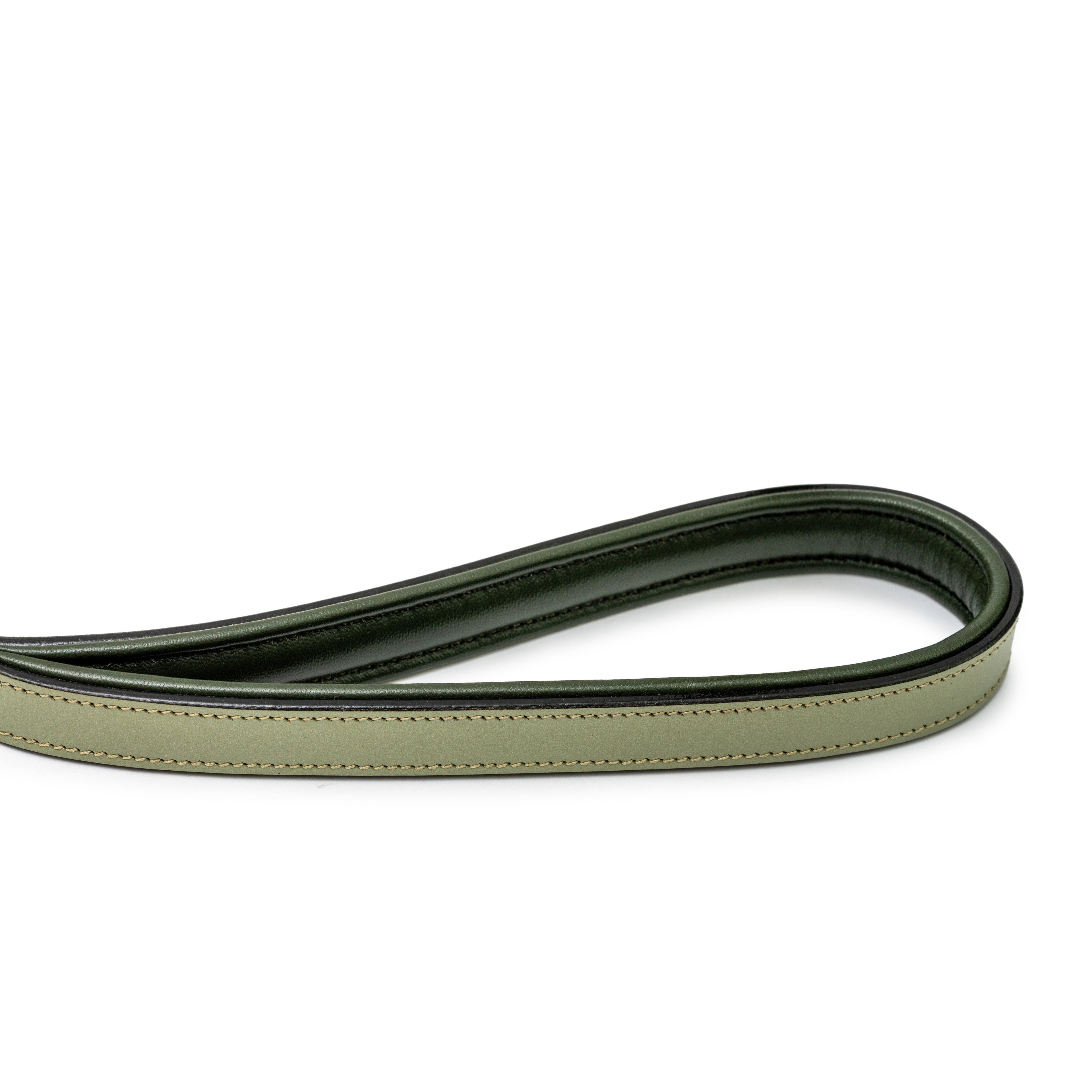 Sea Glass Leather Dog Leash