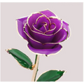 Gold-Plated 24K Rose