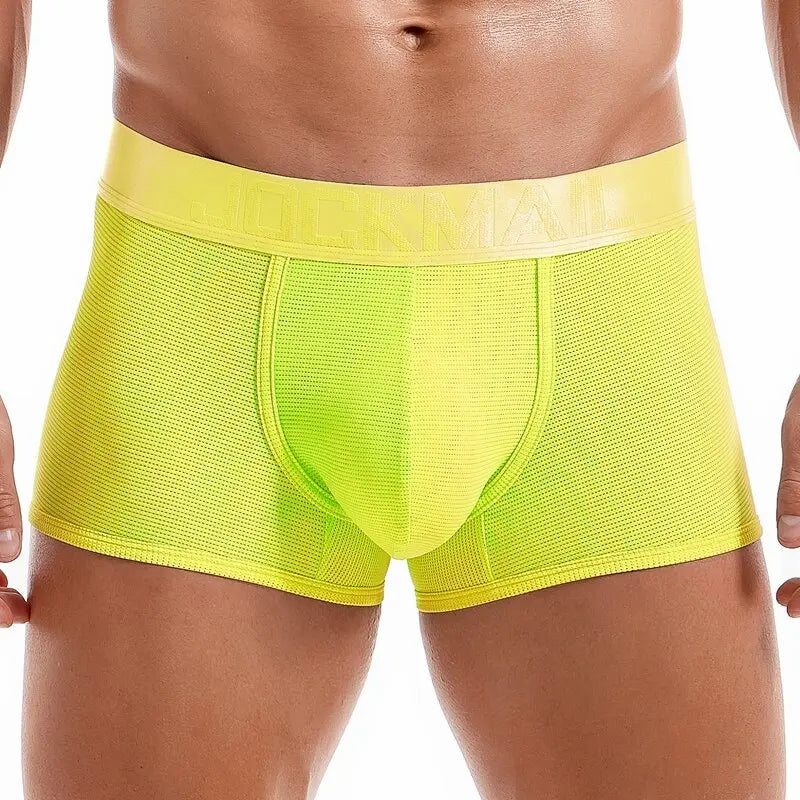 Shiny Waist Trunks