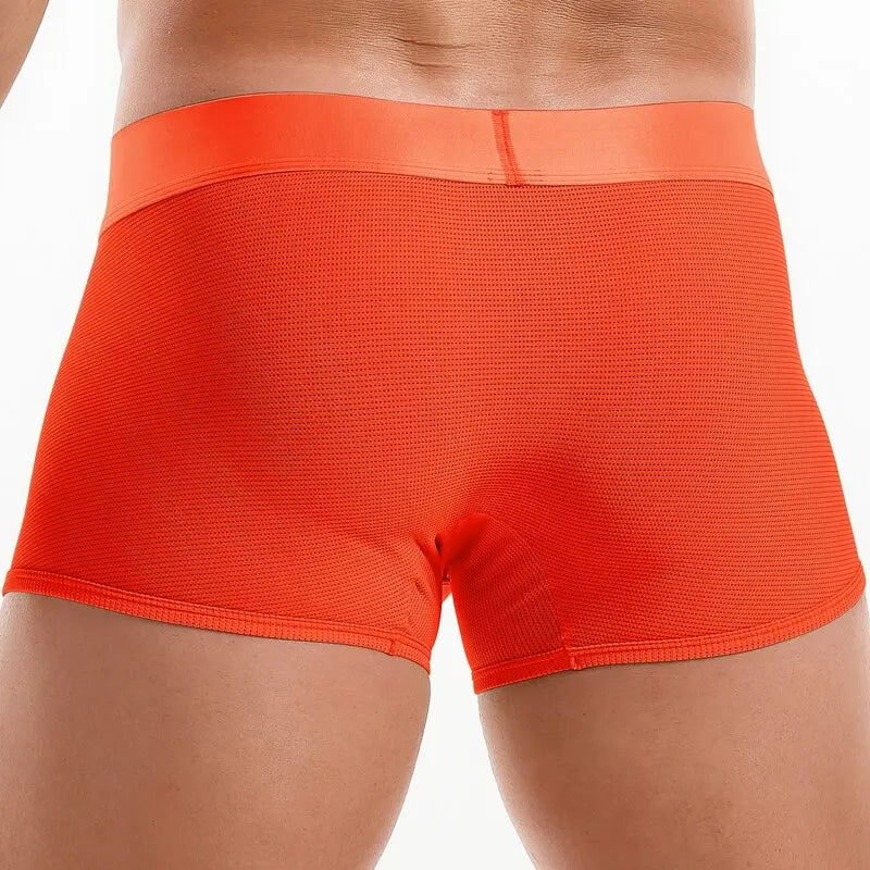 Shiny Waist Trunks