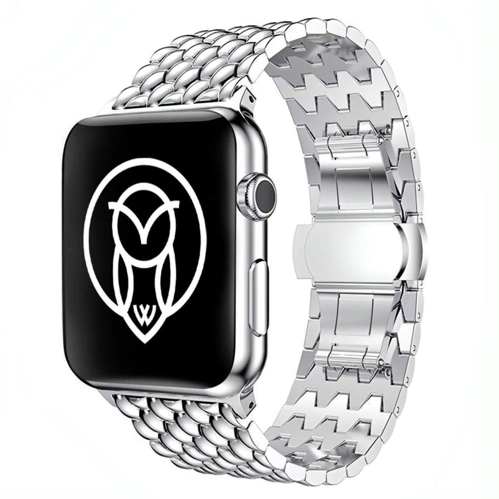 Arya Stainless Strap