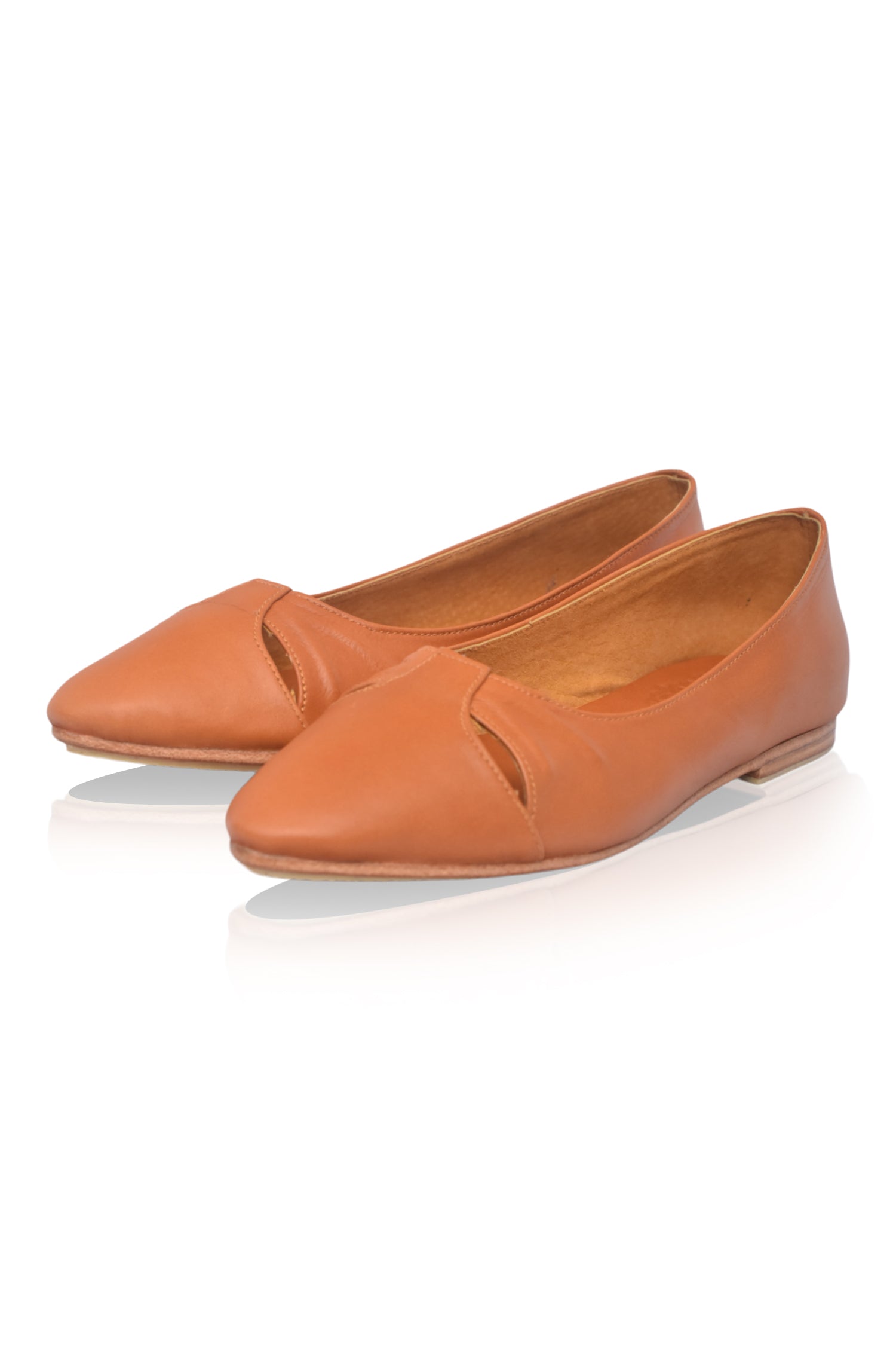 Siren Pointed Toe Leather Flats