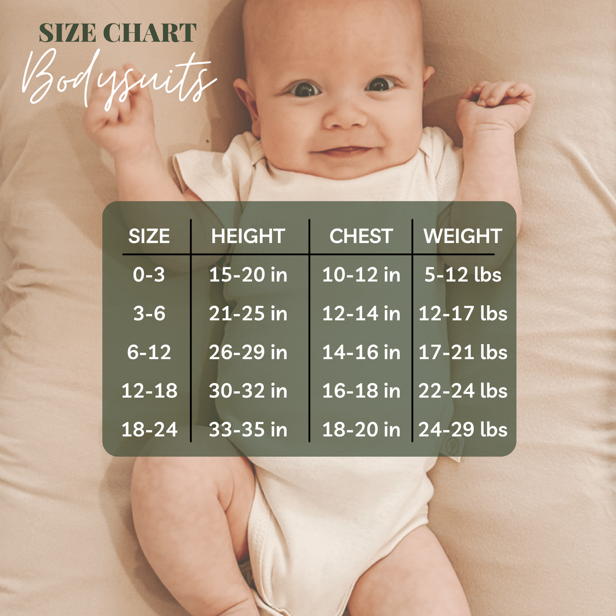 Seashell Organic Cotton Baby Bodysuit