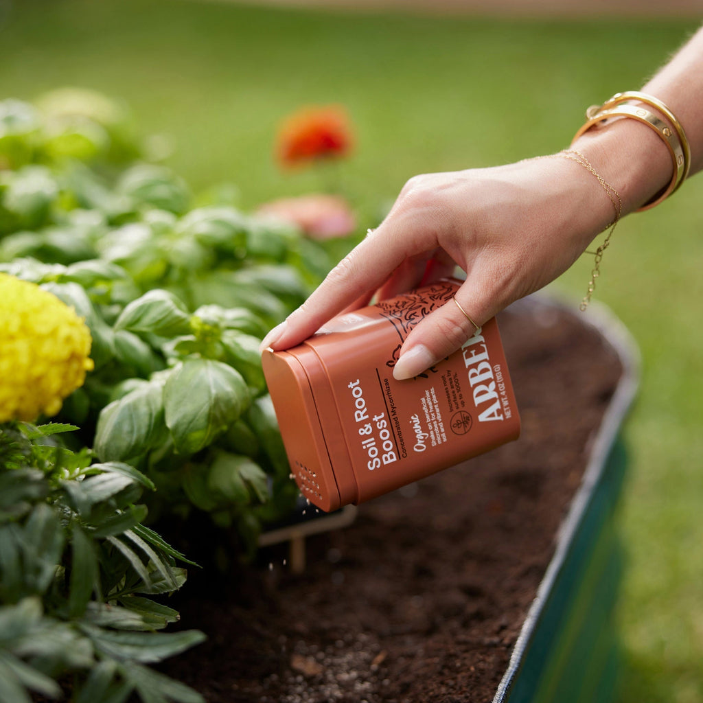 Organic Soil & Root Boost | Mycorrhizae & Beneficial Microbes | House Plant Shop