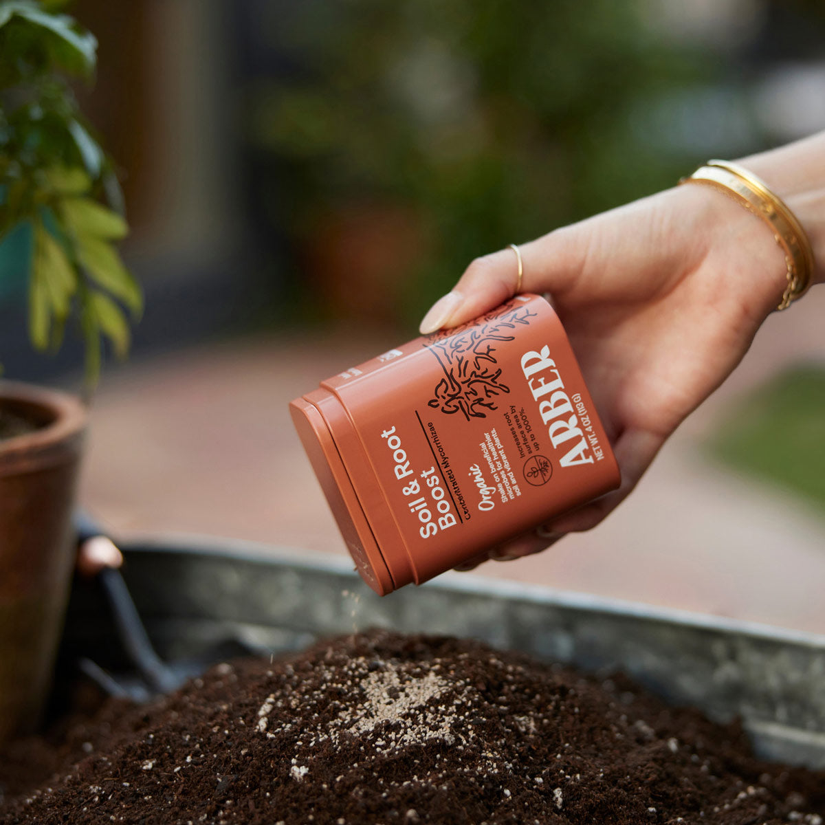 Organic Soil & Root Boost | Mycorrhizae & Beneficial Microbes | House Plant Shop