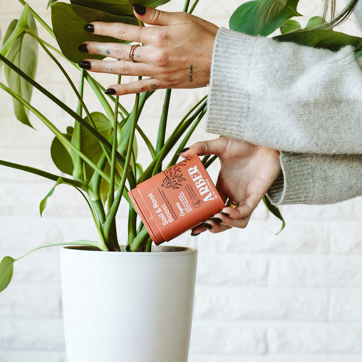 Organic Soil & Root Boost | Mycorrhizae & Beneficial Microbes | House Plant Shop