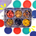Stainless Steel Bento Box - 6 Compartment Kids