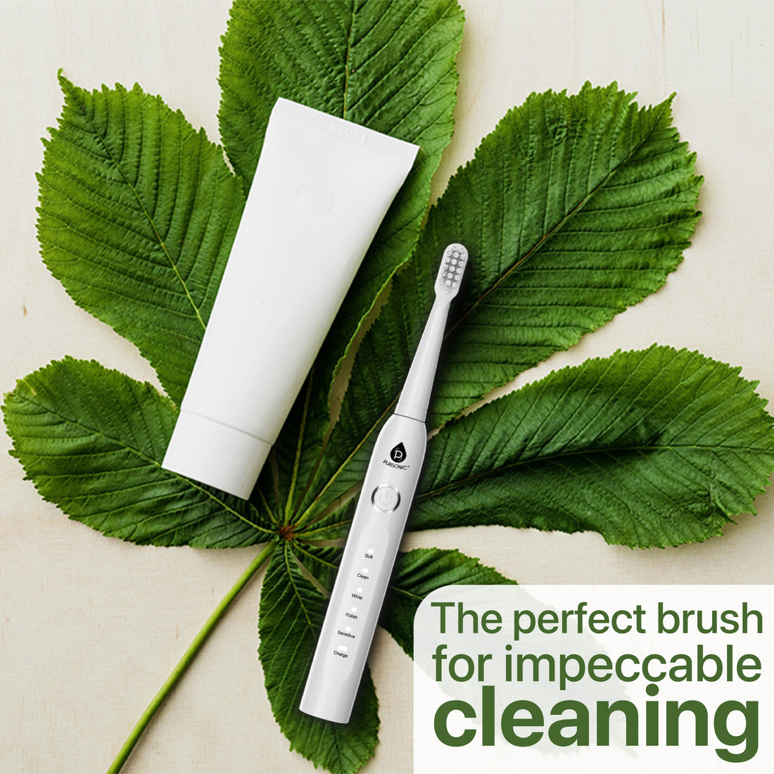USB Rechargeable Electric Toothbrush