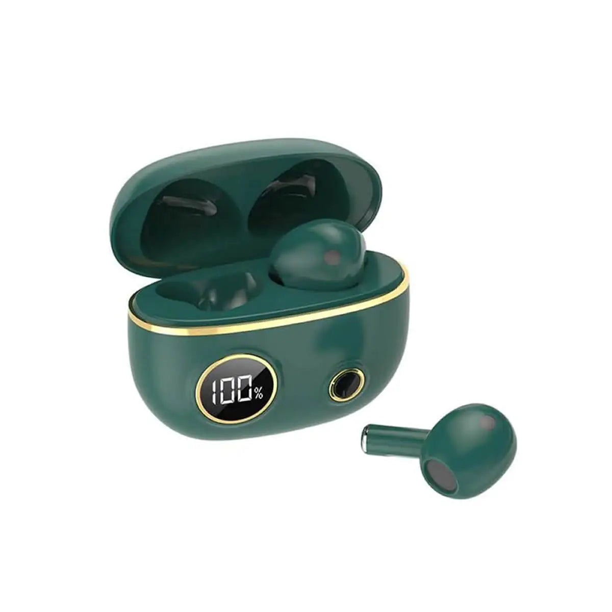 Fancy High Definition Earbuds