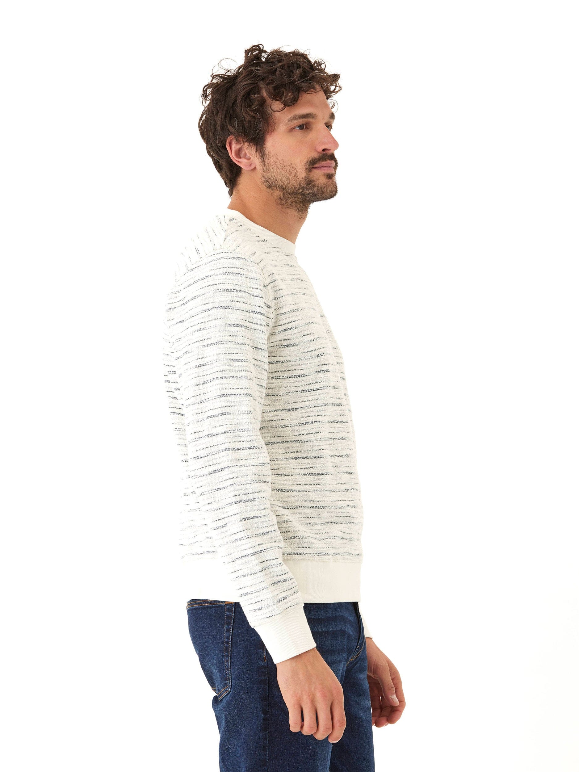 Men's Jovan Shoreline Terry Crew Pullover Striped