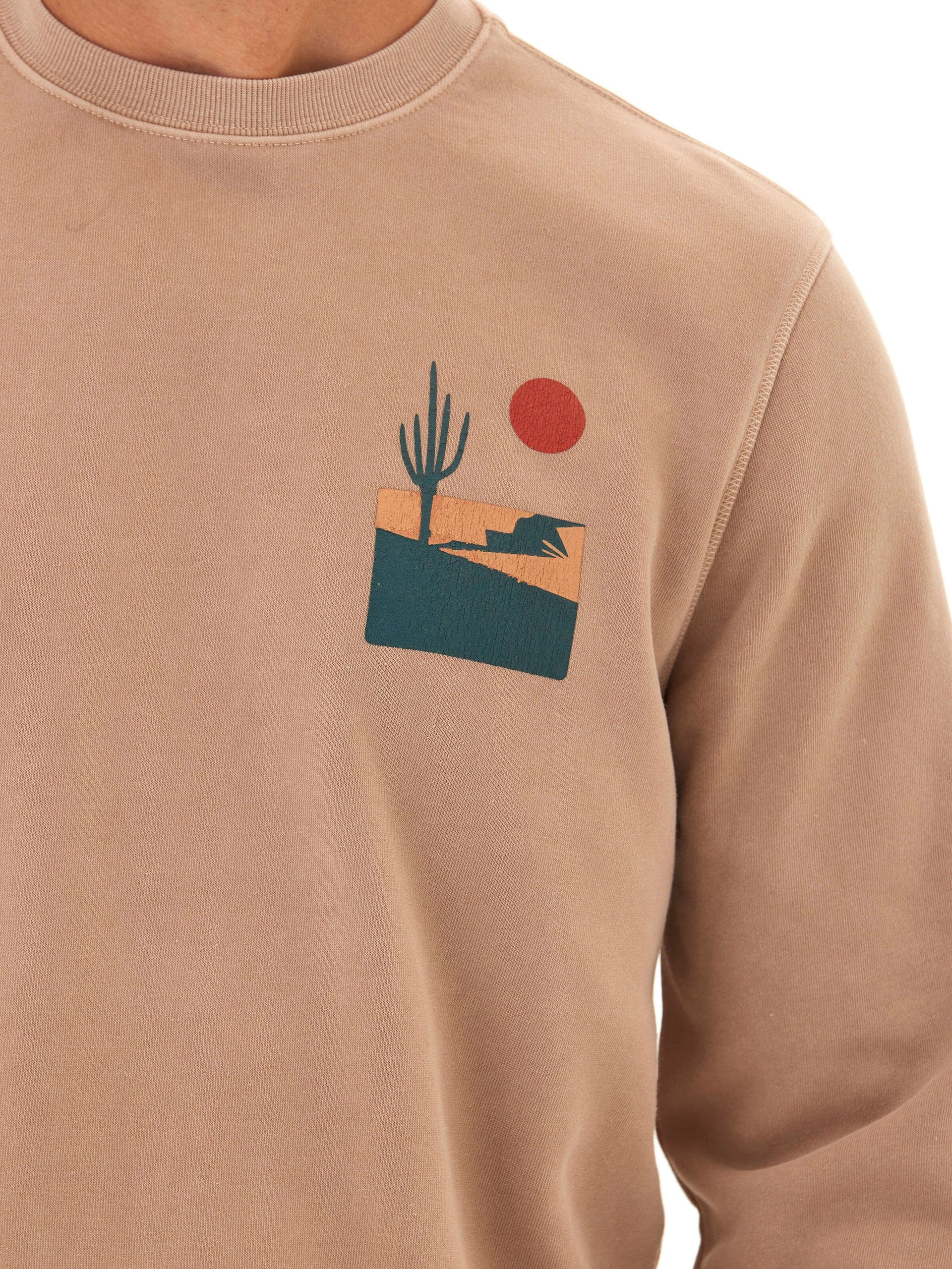 Mineral Wash Graphic Fleece Crew Pullover Sweatshirt