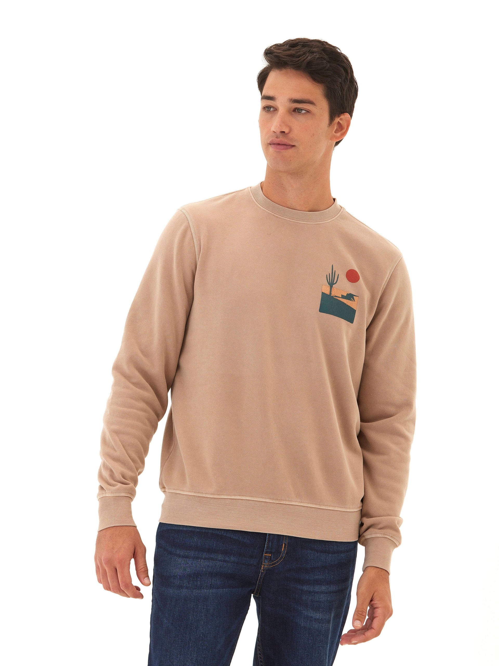 Mineral Wash Graphic Fleece Crew Pullover Sweatshirt