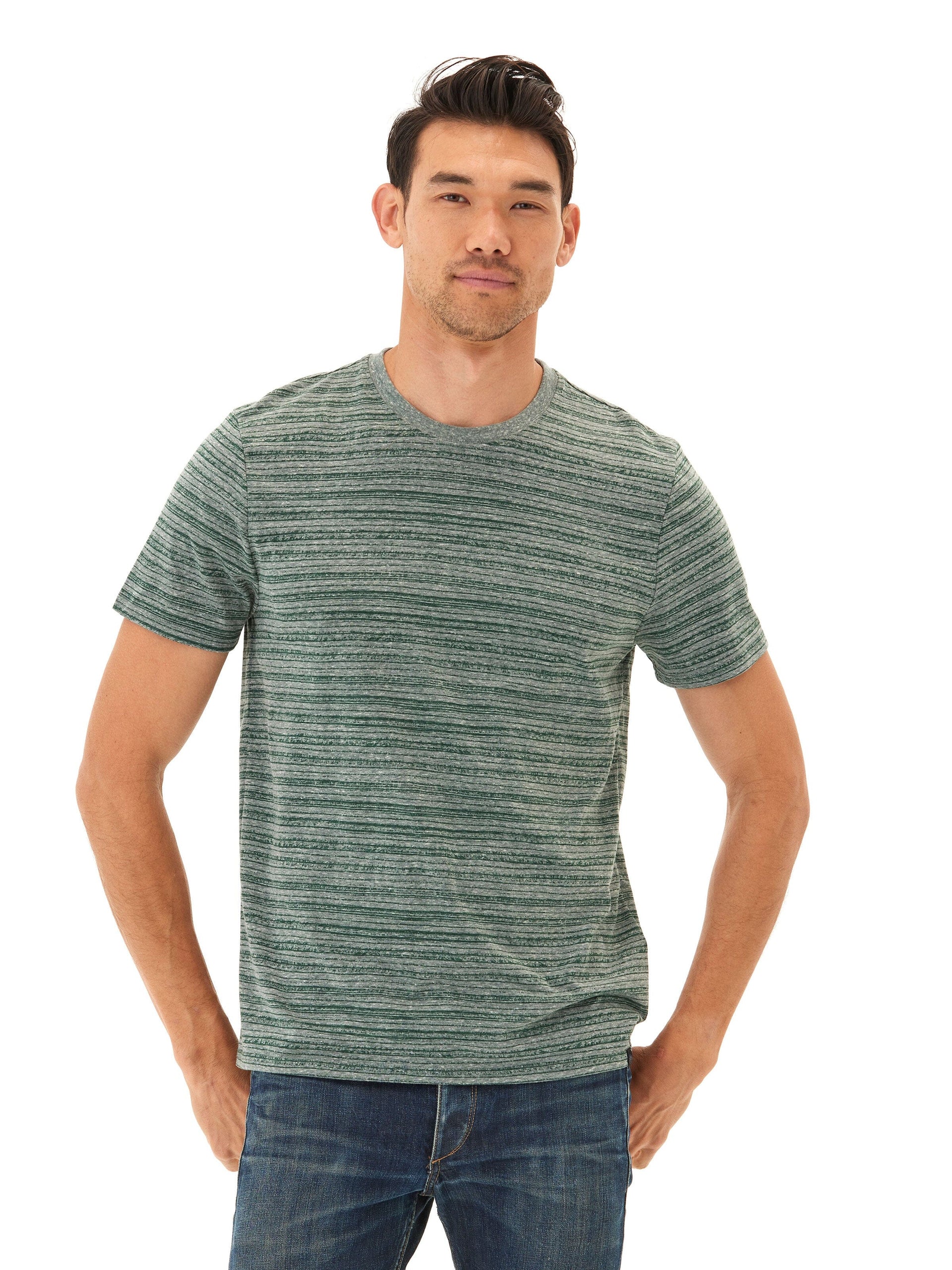 Men wearing a striped triblend jersey crew tee in green against a minimalist background.