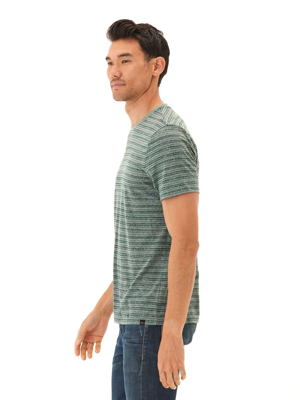 Men's Striped Triblend Jersey Crew Tee in Green and Grey