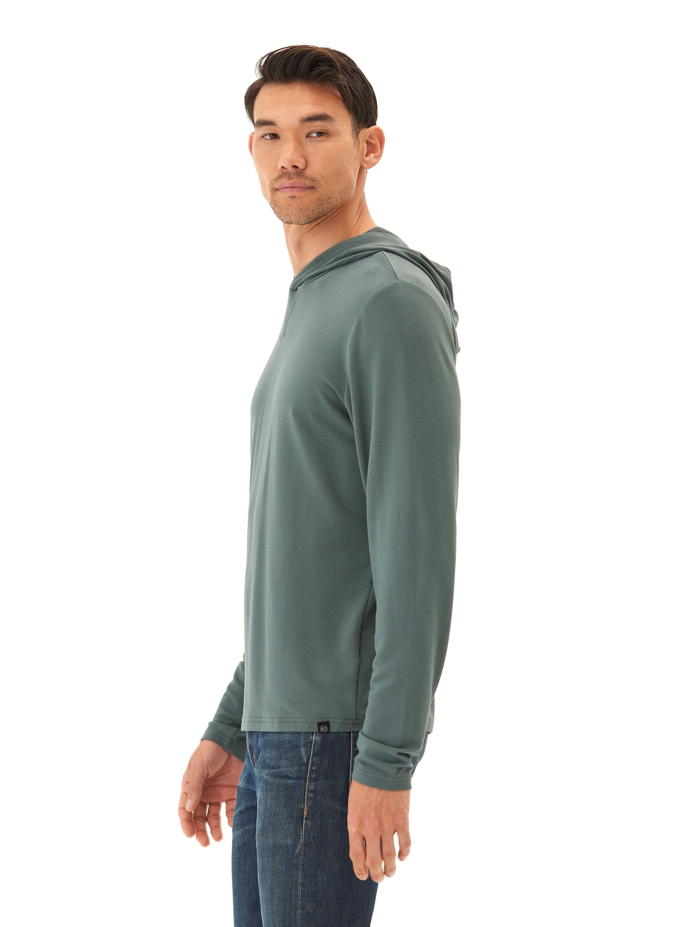 Dex Modal Terry Pullover Hoodie in Sage-Green and Muted-Teal