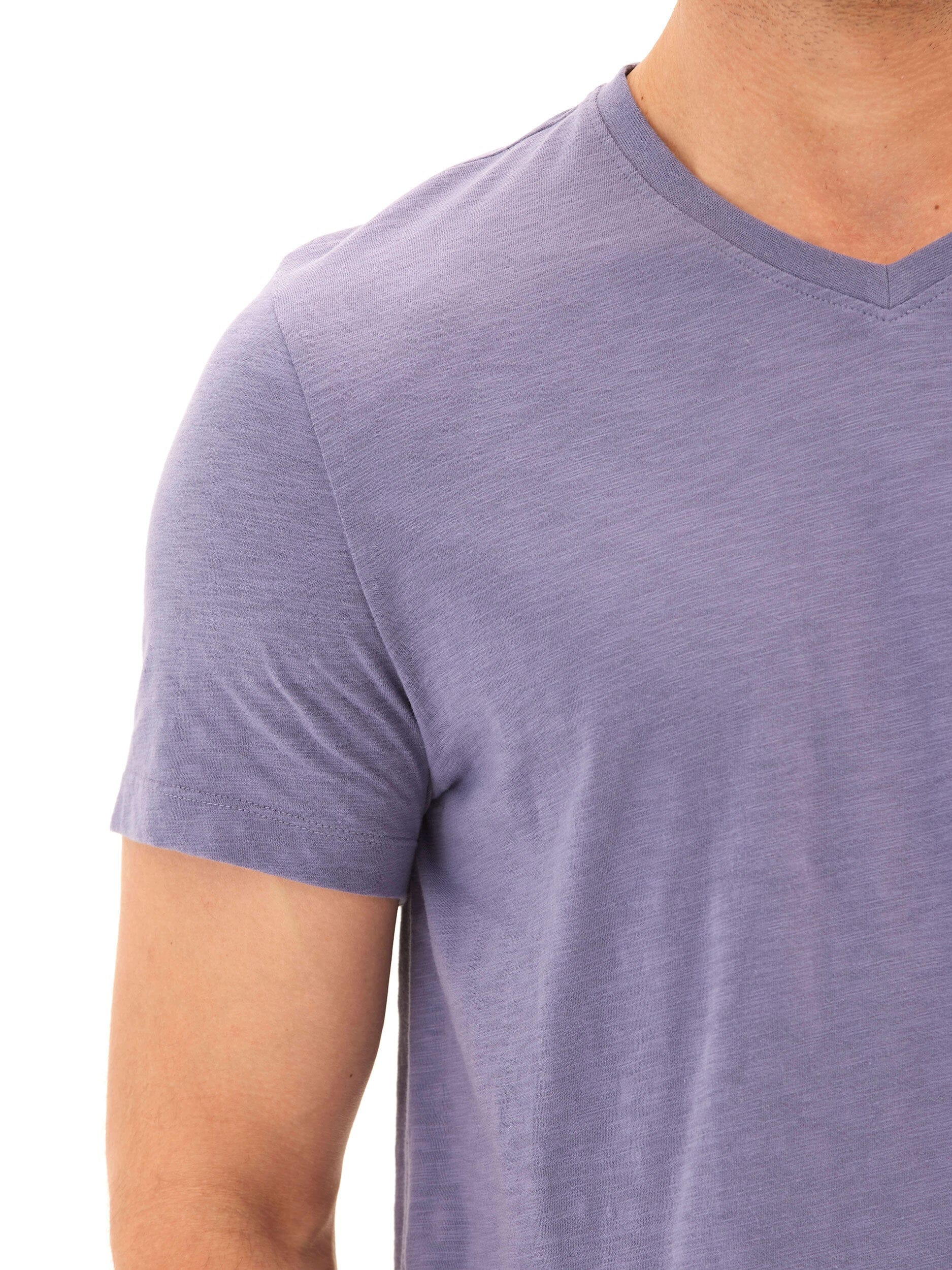 Men's Organic Cotton Slub Jersey V-Neck Tee in Purple and Blue