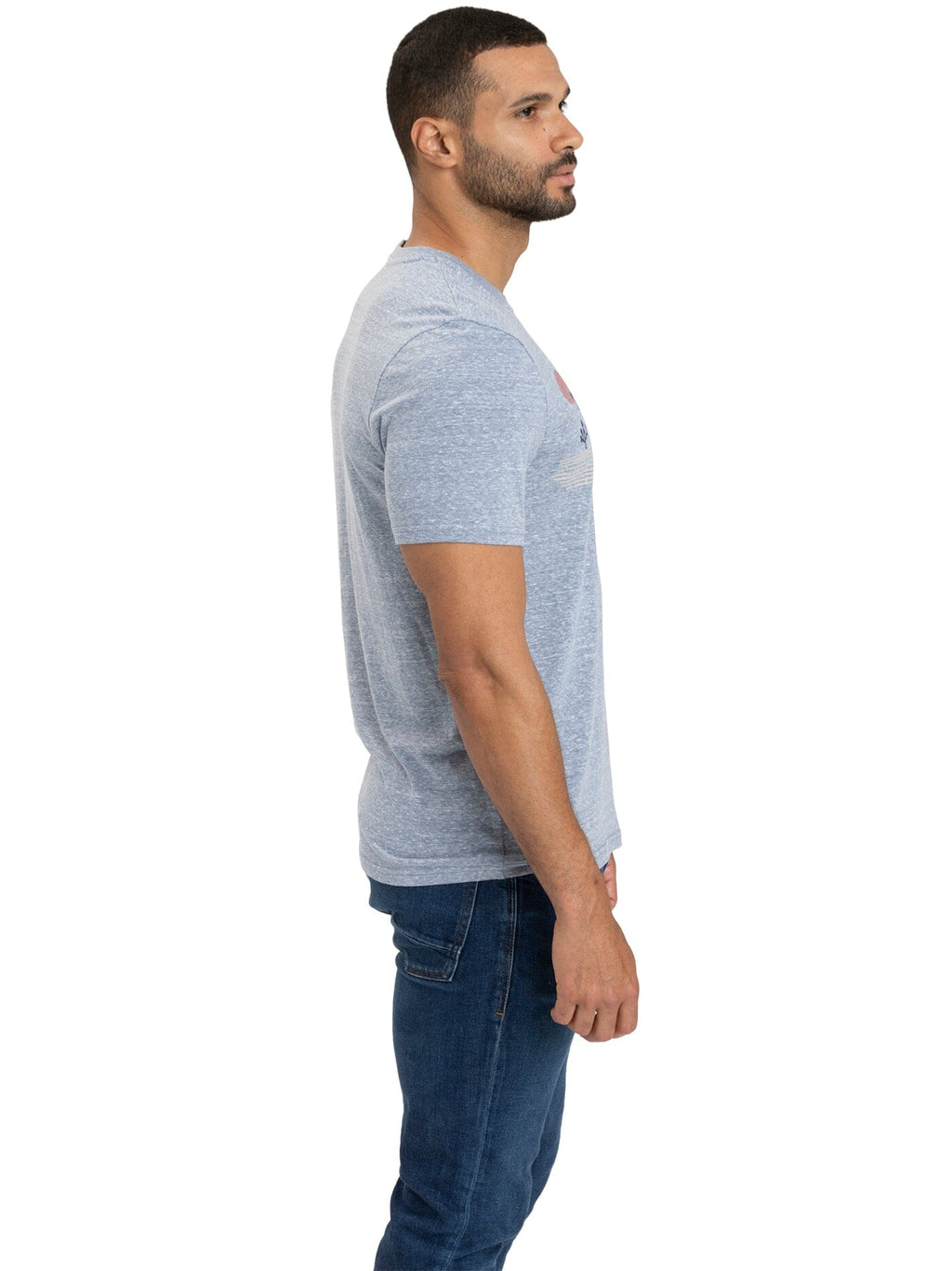 Yucca Basin Graphic Triblend Tee in Blue and Grey