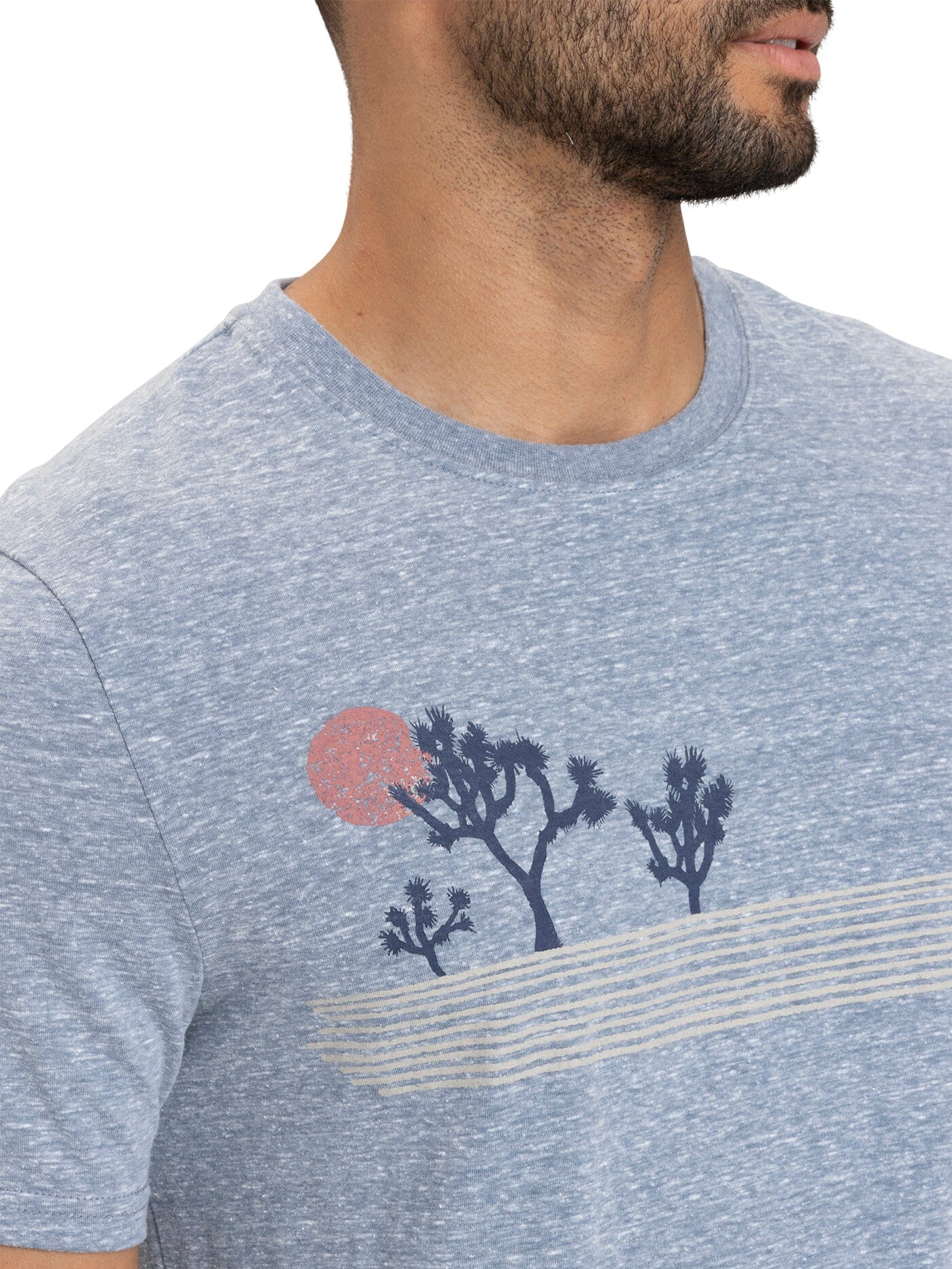 Yucca Basin Graphic Triblend Tee in Blue and Grey