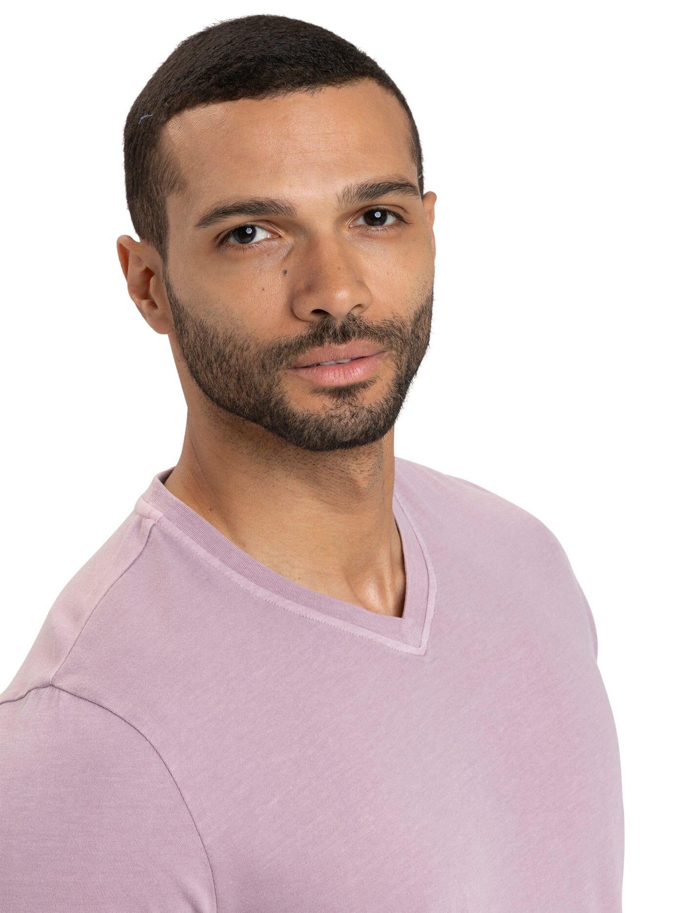 Men's Mineral Wash Jersey V-Neck Tee in Muted Mauve and Lavender