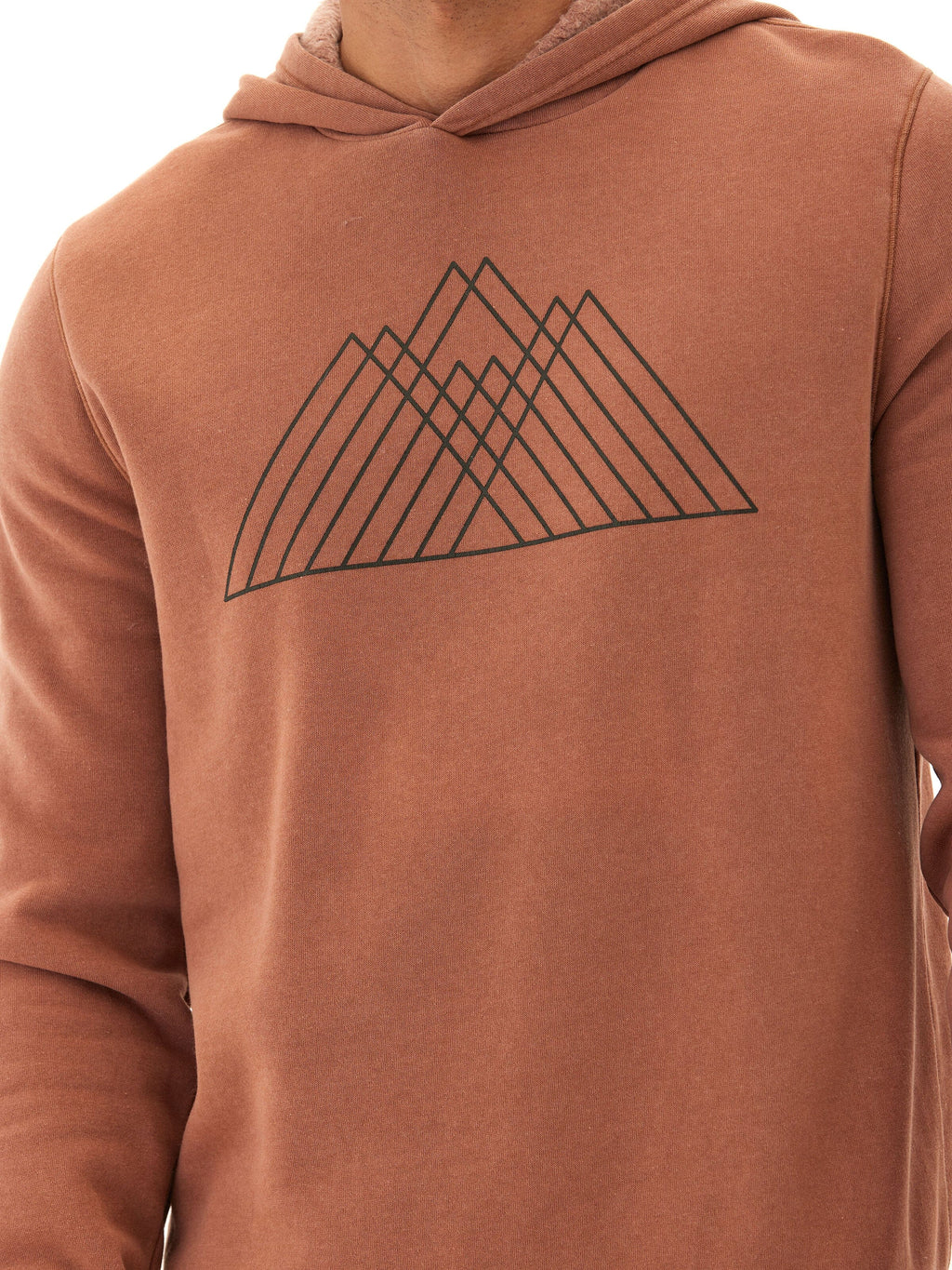 Mineral Wash Graphic Hoodie in Rust and Brown
