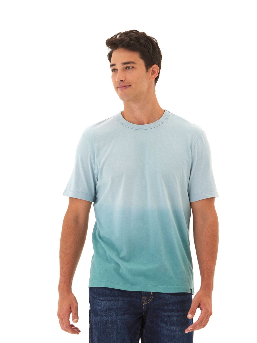 Bryce Dip Dye Relaxed Crew Neck Tee in Light Blue and Teal