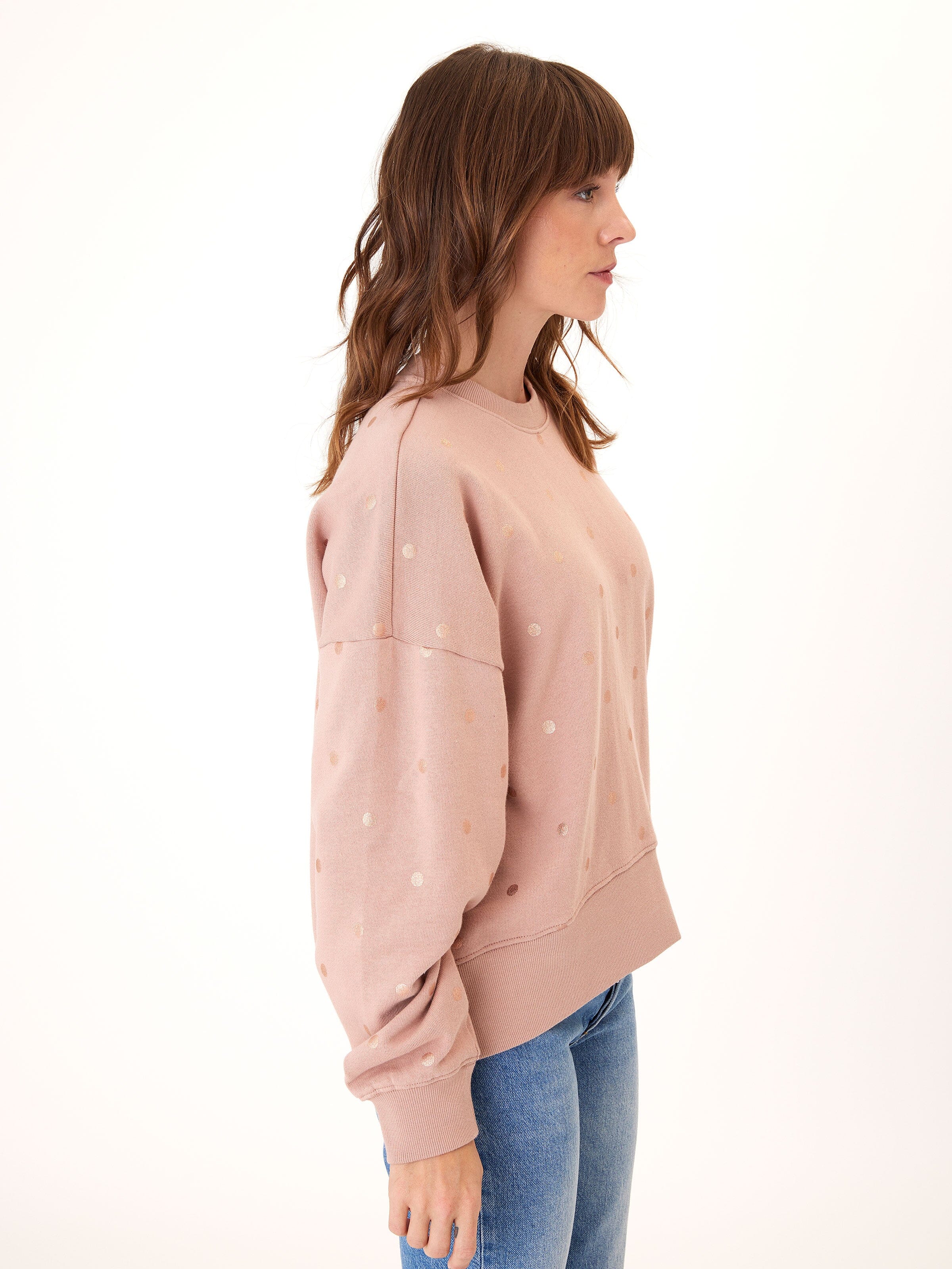 Naia Metallic Dot Pullover Oversized Rib Trim Sweatshirt