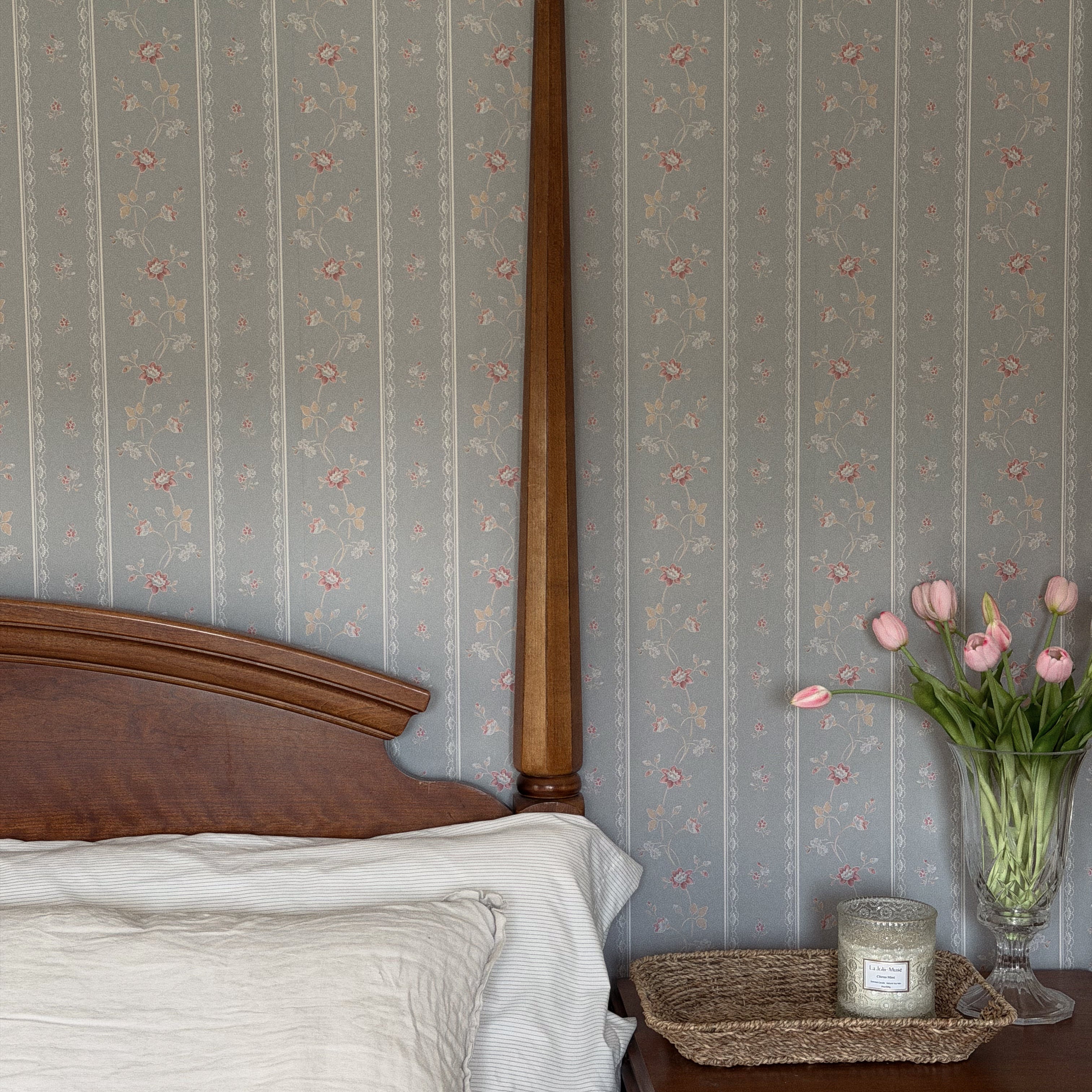 Bandy Wallpaper by Jensen Lang x Aubrey Fairchild