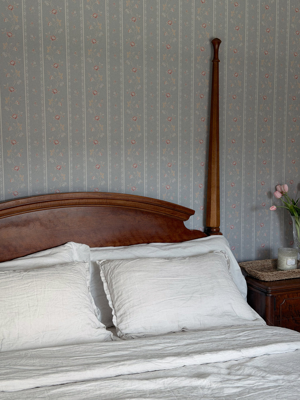 Bandy Wallpaper by Jensen Lang x Aubrey Fairchild