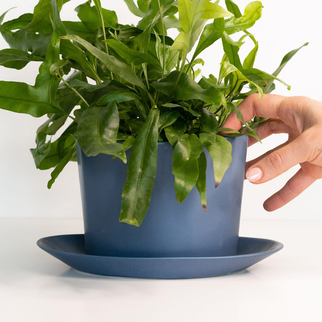 Handmade Porcelain Oval Planter with Matching Drainage Tray - Image 2