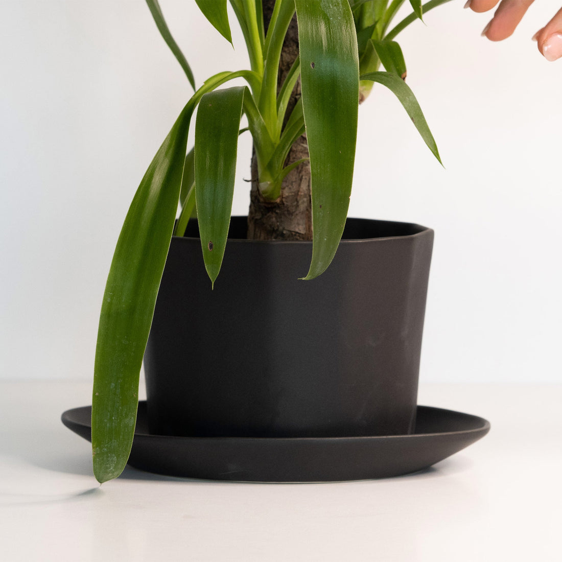 Handmade Porcelain Oval Planter with Matching Drainage Tray - Image 4