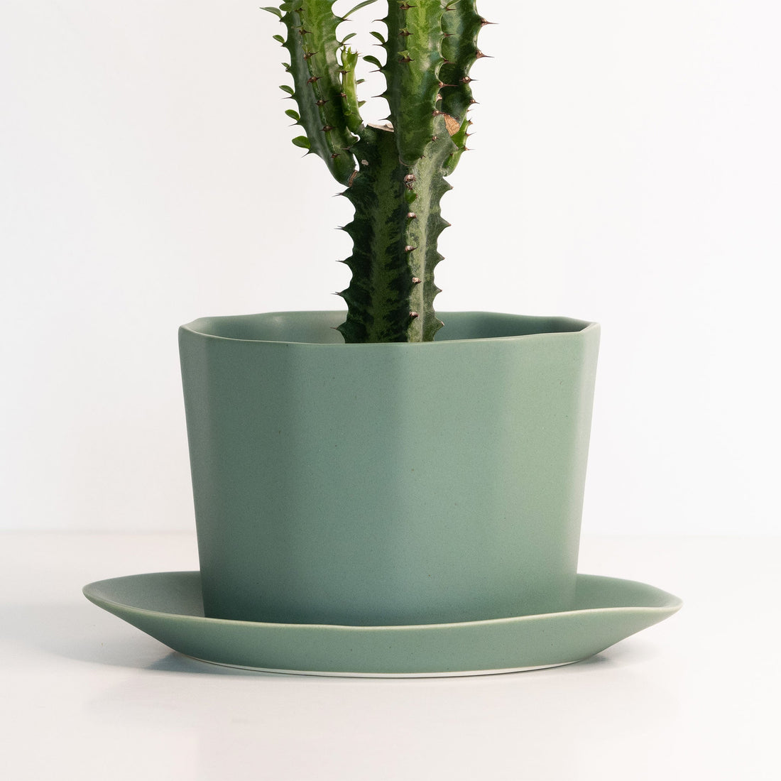 Handmade Porcelain Oval Planter with Matching Drainage Tray - Image 3