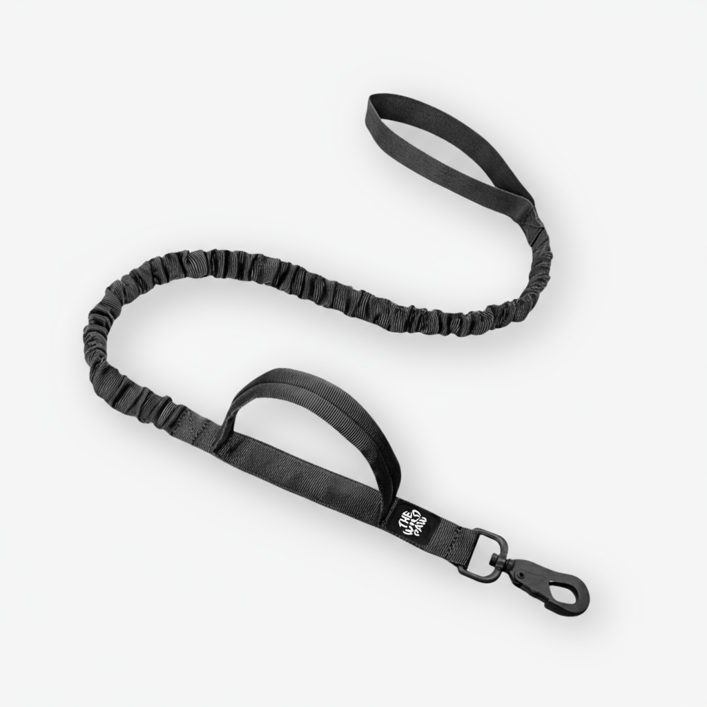 Rover Tactical Leash