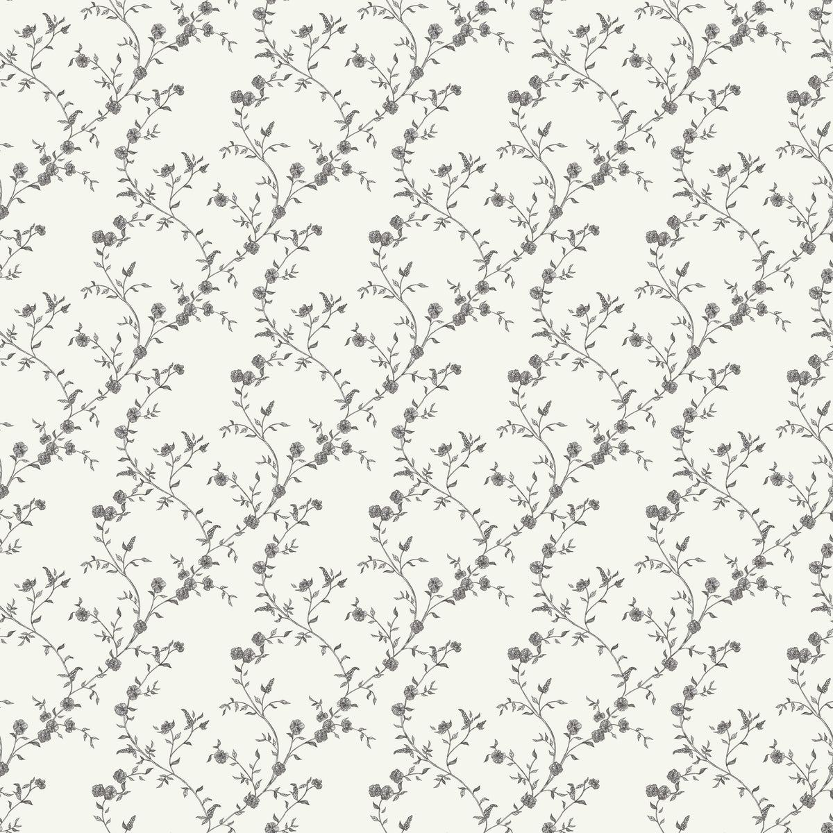 Tonita Wallpaper by Jensen Lang x Aubrey Fairchild